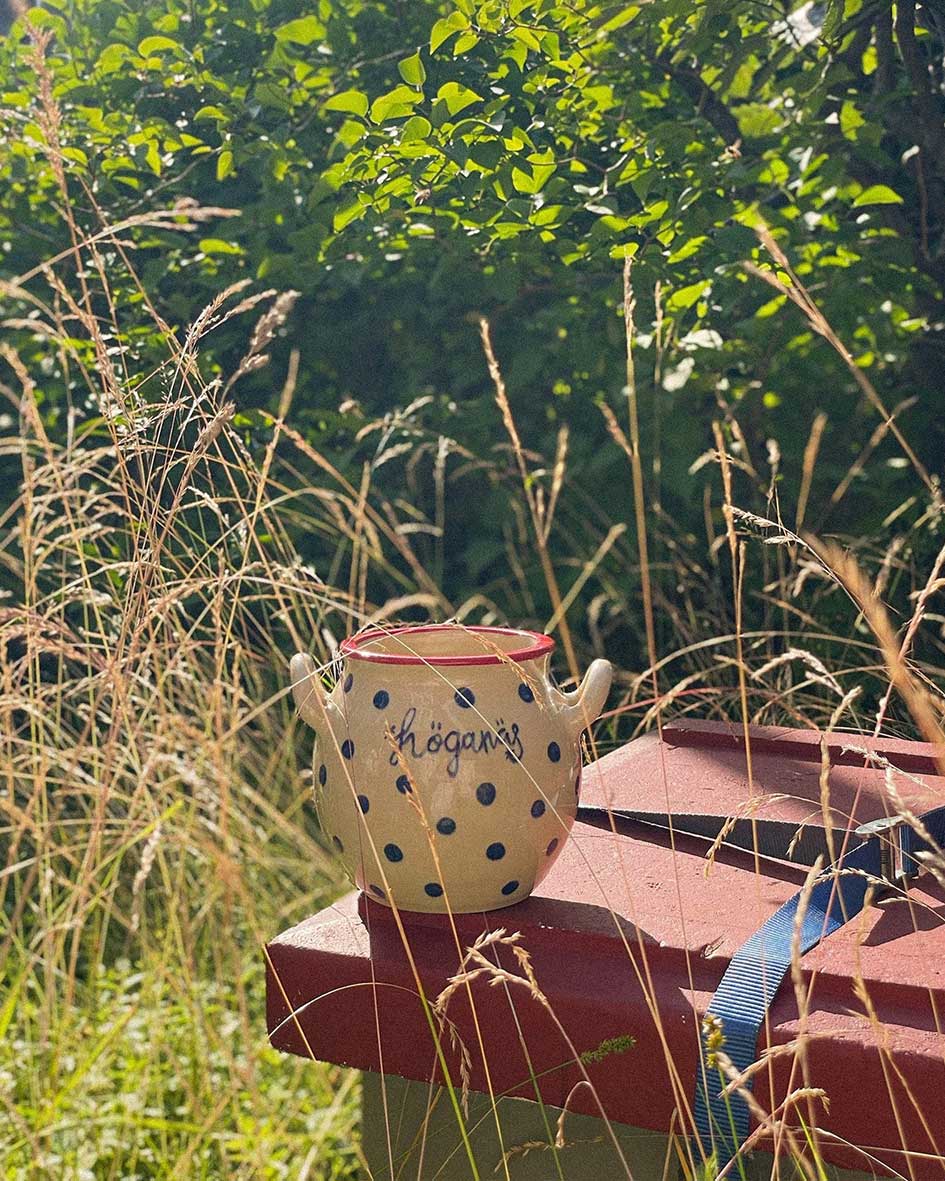 Handcrafted Spanish Hoganas ceramic pot with blue polka dots, resting on red surface amid wild grasses and greenery